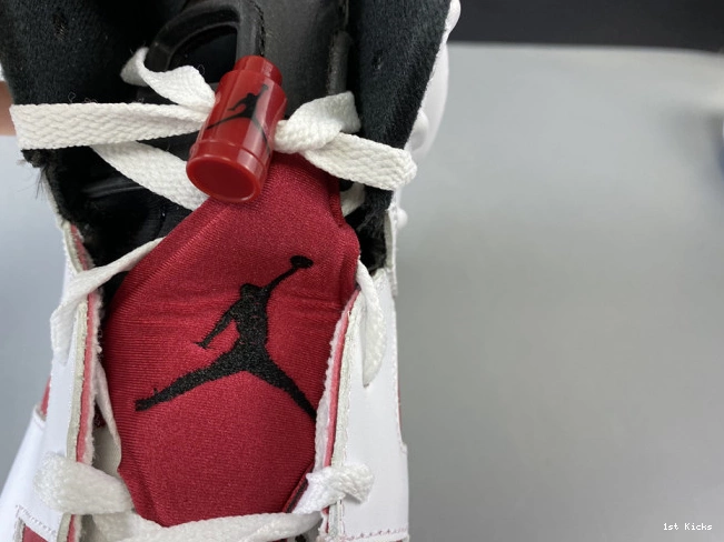RETRO 6 JORDAN 2014 384664-160 'CARMINE' AIR 0813